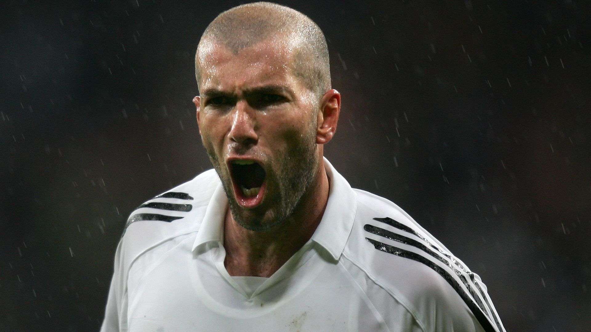 在這裡書寫 在這裡書寫